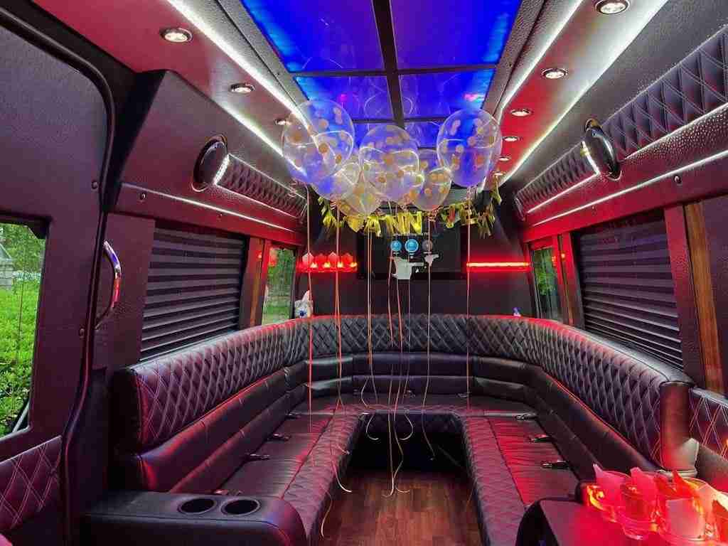 limo party bus rentals buffalo ny